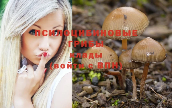 a pvp Приозерск