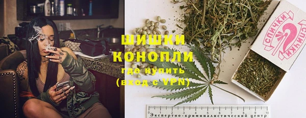 mdpv Новосибирск