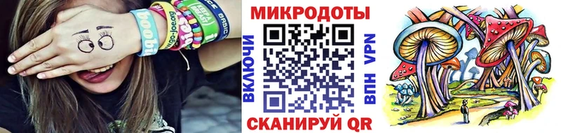 Галлюциногенные грибы Psilocybe  где можно купить наркотик  маркетплейс какой сайт  Красноармейск 