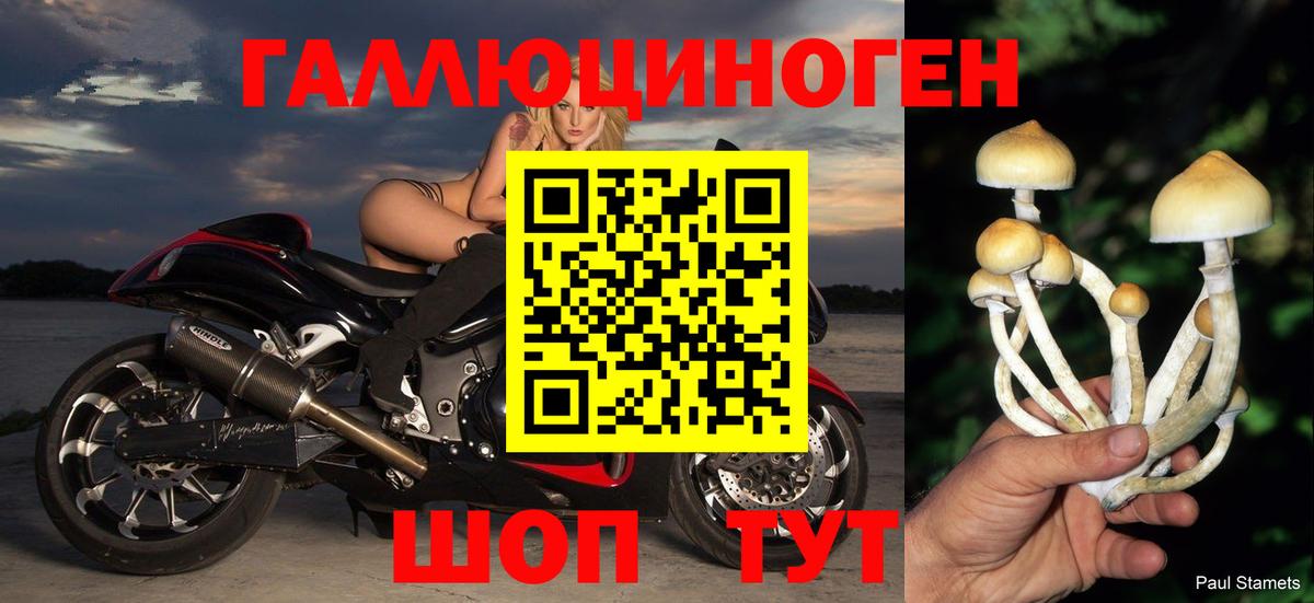 Галлюциногенные грибы Psilocybine cubensis  Вход с VPN  Красноармейск 