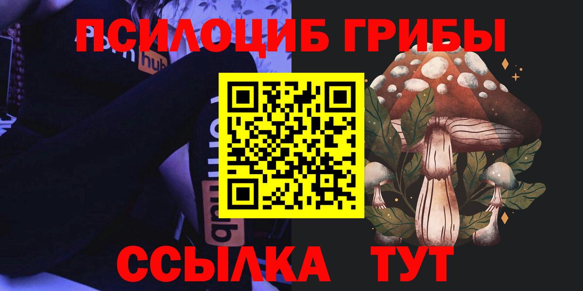 Псилоцибиновые грибы Cubensis  Красноармейск  Галлюциногенные грибы GOLDEN TEACHER 