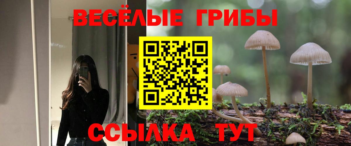 Галлюциногенные грибы Psilocybe Красноармейск